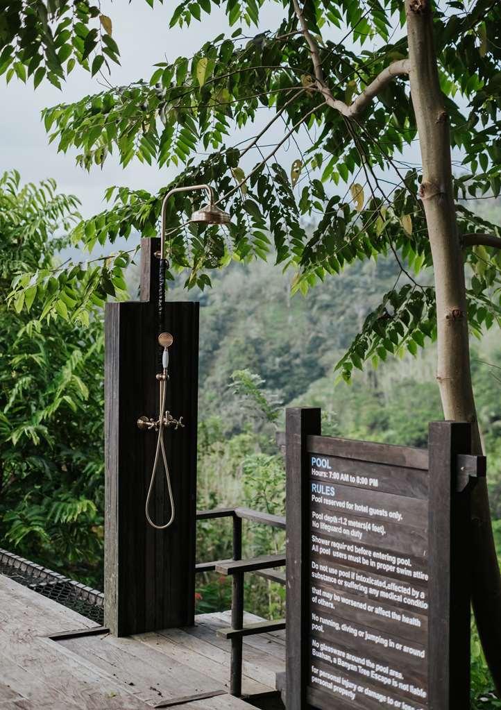 Buahan, A Banyan Tree Escape Payangan Facilități foto